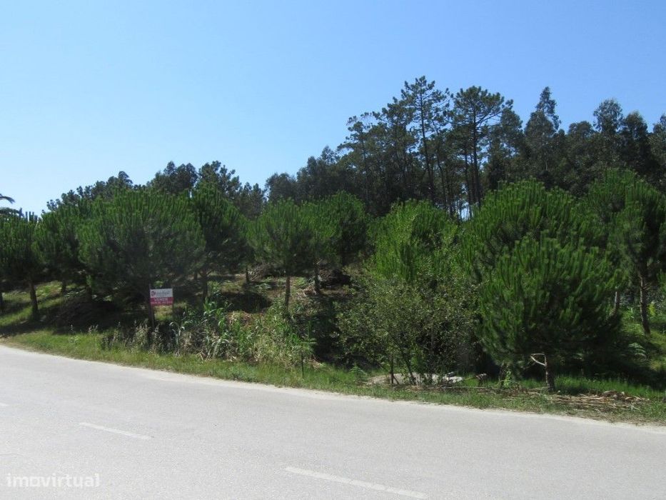 Terreno no Outeiro da Fonte — Monte Real E Carvide, Leiria