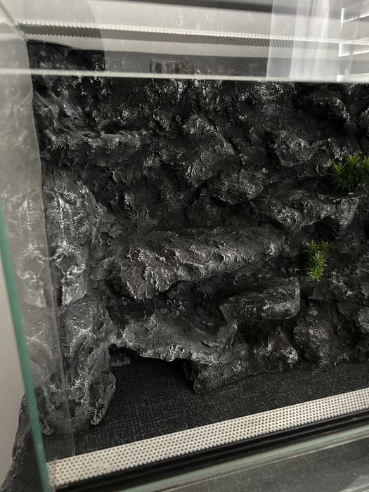 Terrarium 80x50x40