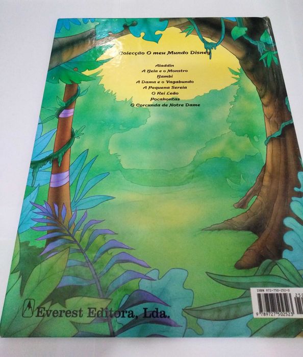 Livro O Rei Leão.