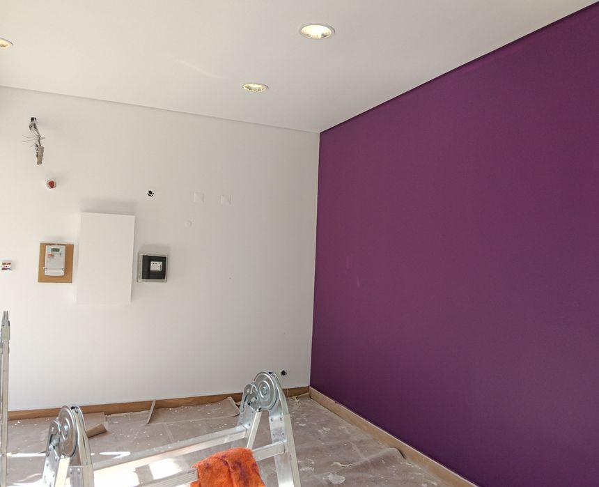 Pintor profissional, Barramentos de Pladur e paredes