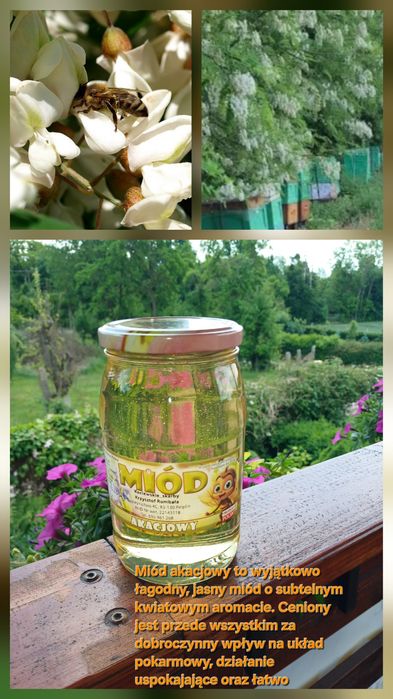 Miód akacjowy 900ml