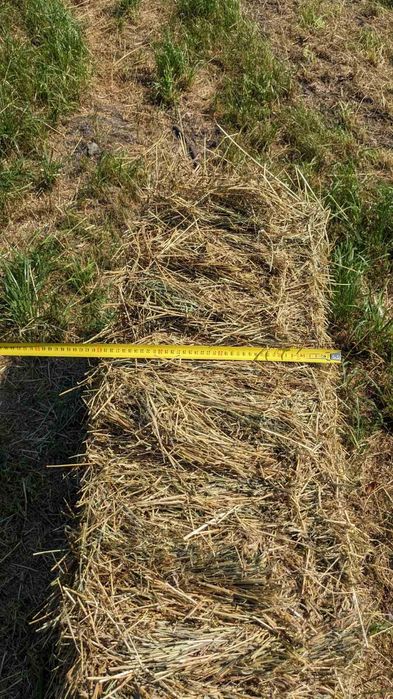 Сіно в тюках 90*60*35см