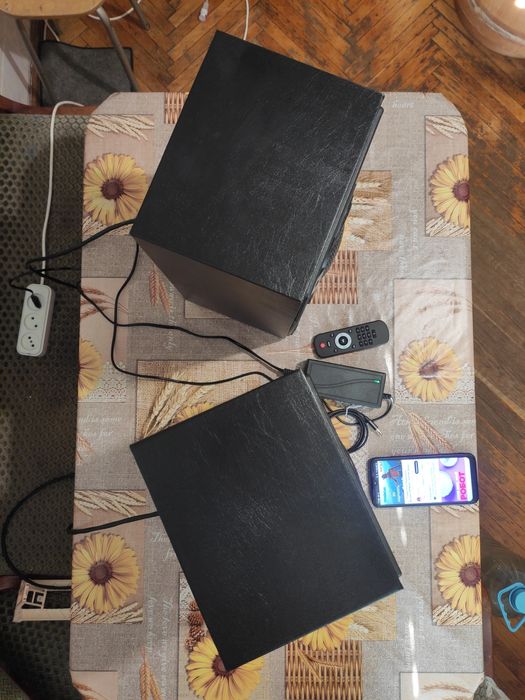 Активная акустика Радиотехника С-30