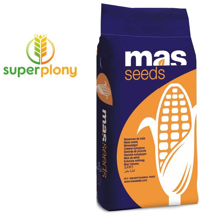 Kukurydza MAS 23.M C1 50 tys. dostawa gratis lubb odbiór osobisty