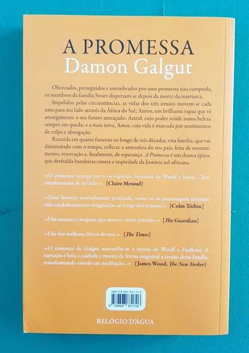 A Promessa - Damon Galgut