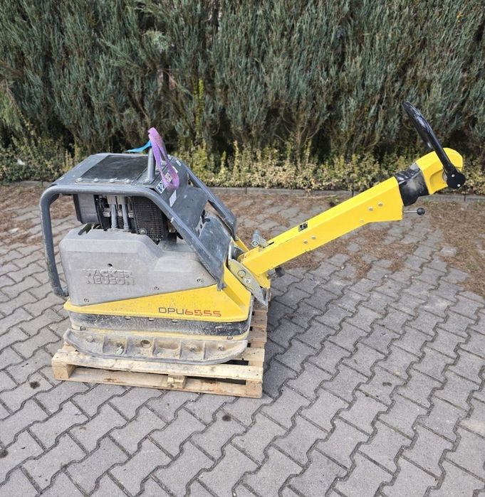 Wynajem zagęszczarka Wacker  Neuson DPU 6555