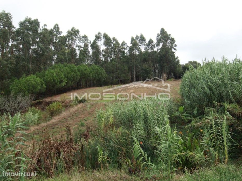 Terreno — Souto Da Carpalhosa E Ortigosa, Leiria