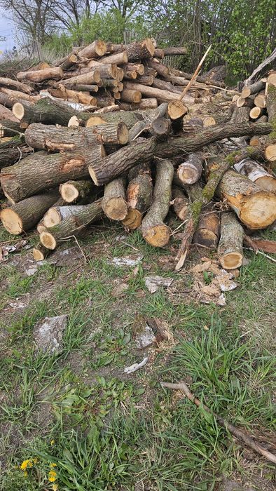 Drewno metry lub klocki opalowe kominkowe