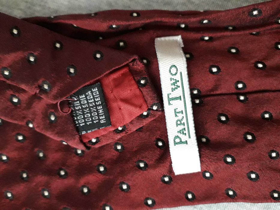 Gravata em Seda Bordeaux ás Pintas《Part Two》