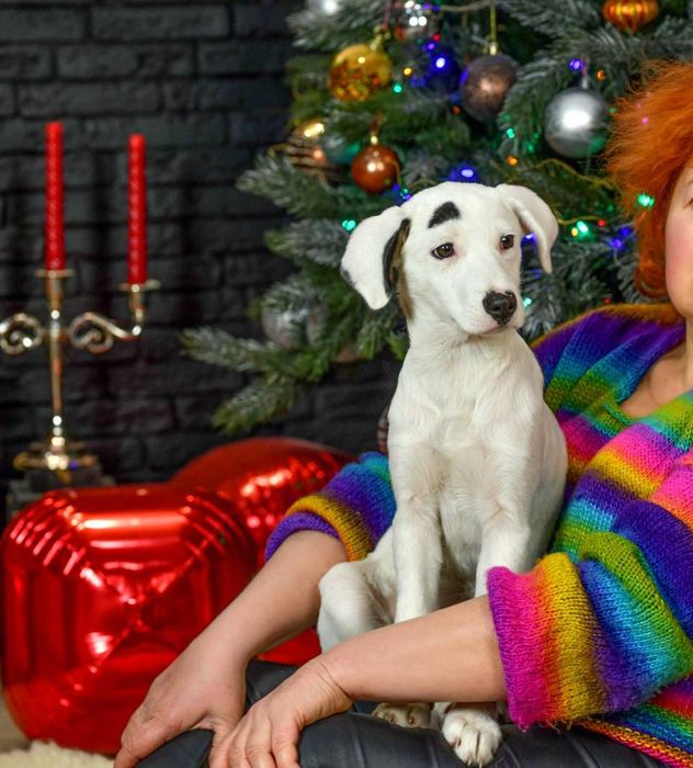 Дівчинка знайдена в полі