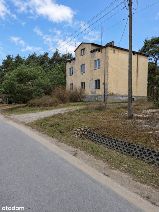 Zdjęcie 3