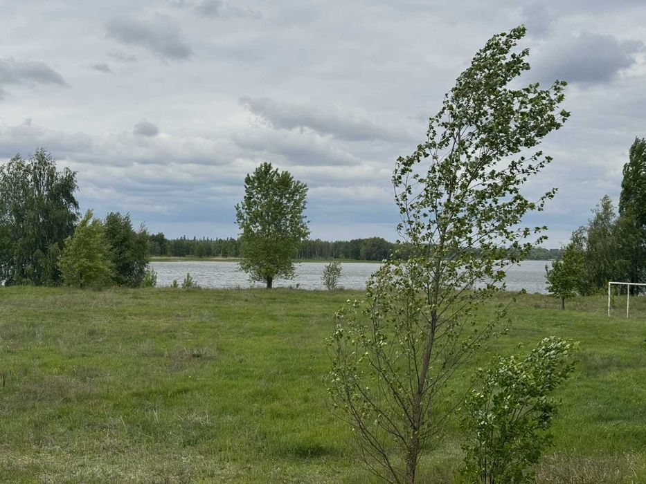 Житлове Помістя с. Маковище Макарівського району! Без комісії!