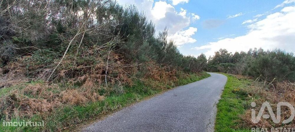 Casa rústica em Cambra e Carvalhal de Vermilhas de 3971 m2