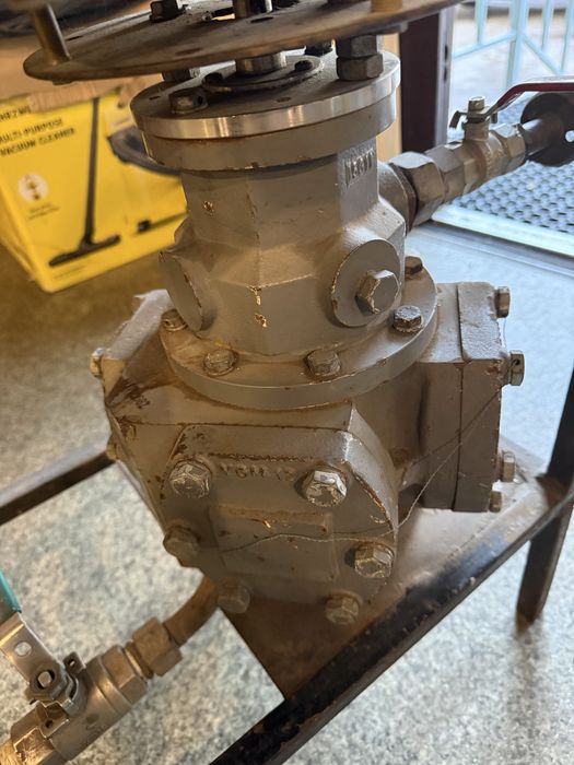 Мірник проточний