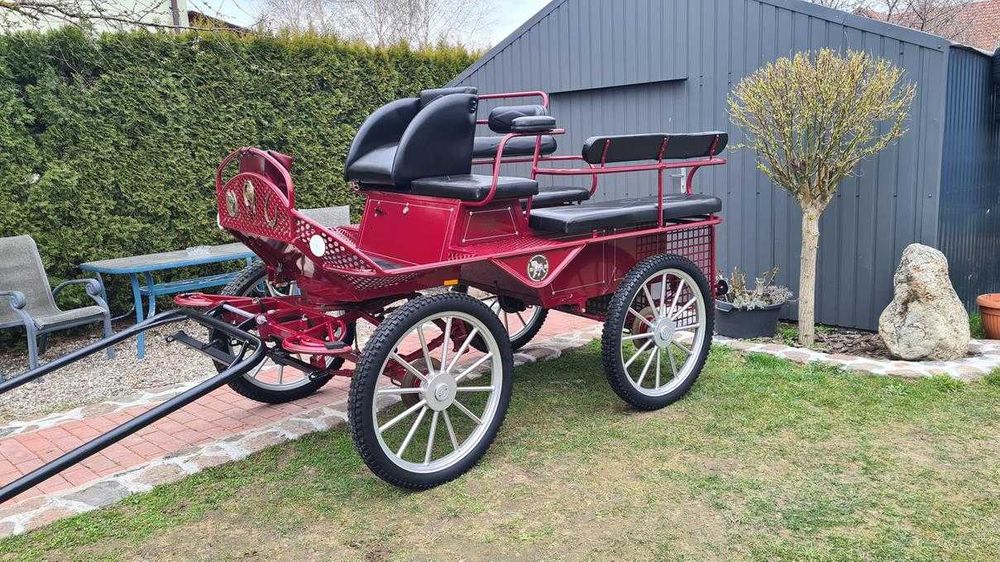 Bryczka konna Wagonetka Powóz Singiel - Para