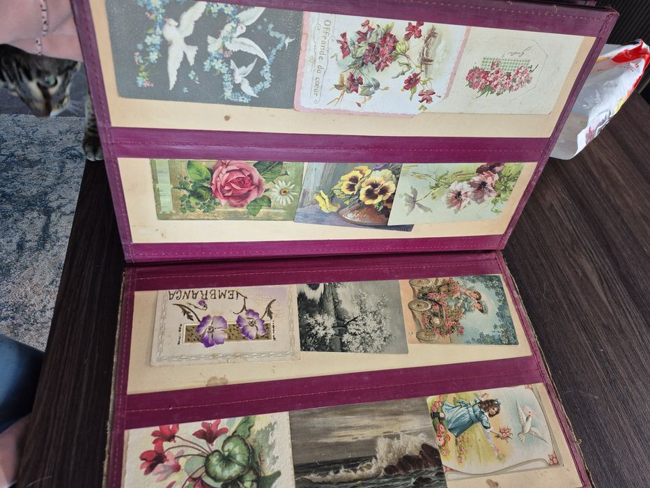 230 Postais manuscritos datados de 1904 a 1945