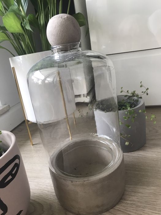 Terrarium dla roślin - naturalne beton szkło