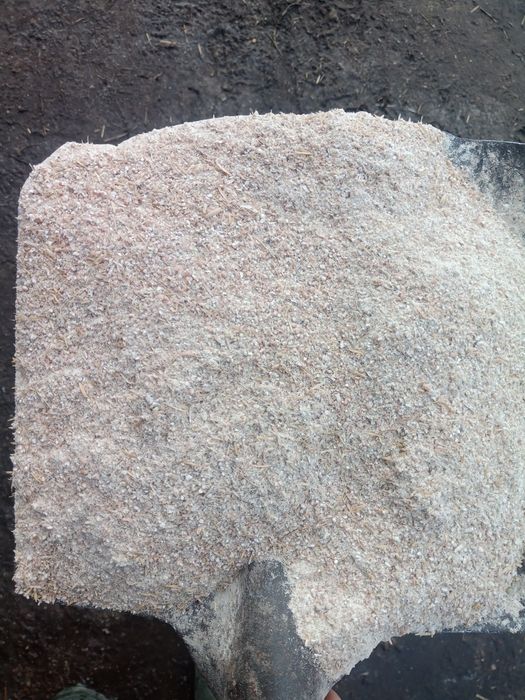 Śruta zbożowa z własnego zboża