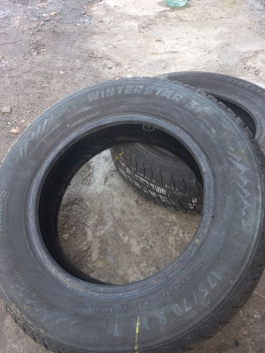 Резина  Point S Winterstar 3 два