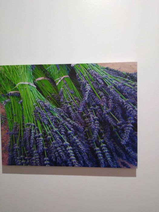Quadros Natureza 3 peças,simples,agradaveis