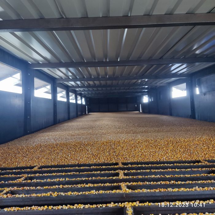 Конвейерная зерносушилка «SK» для всіх культур,дбайлива сушка