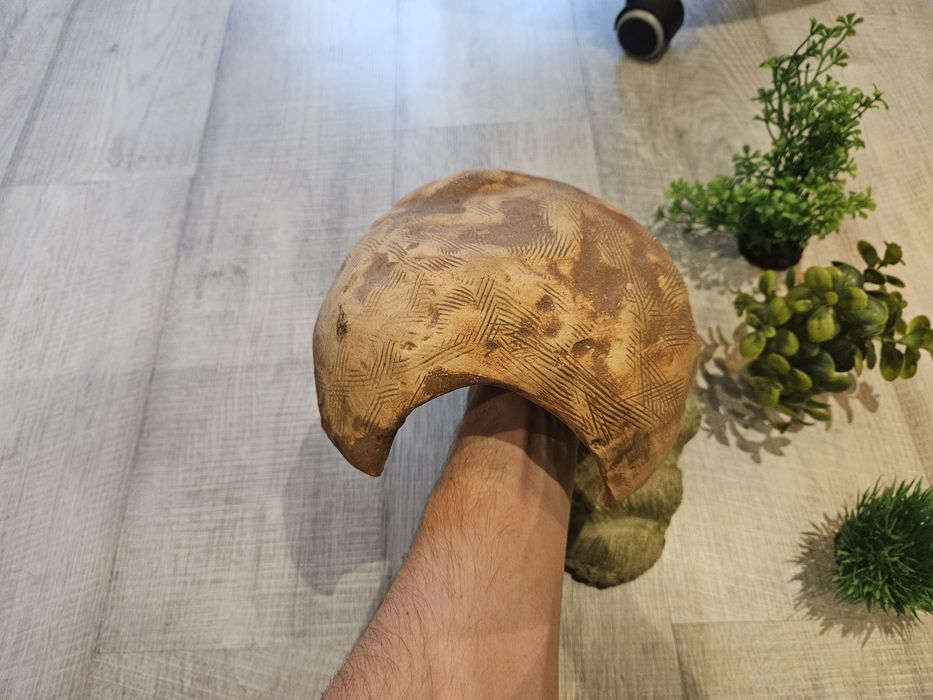 Dekoracje do terarium