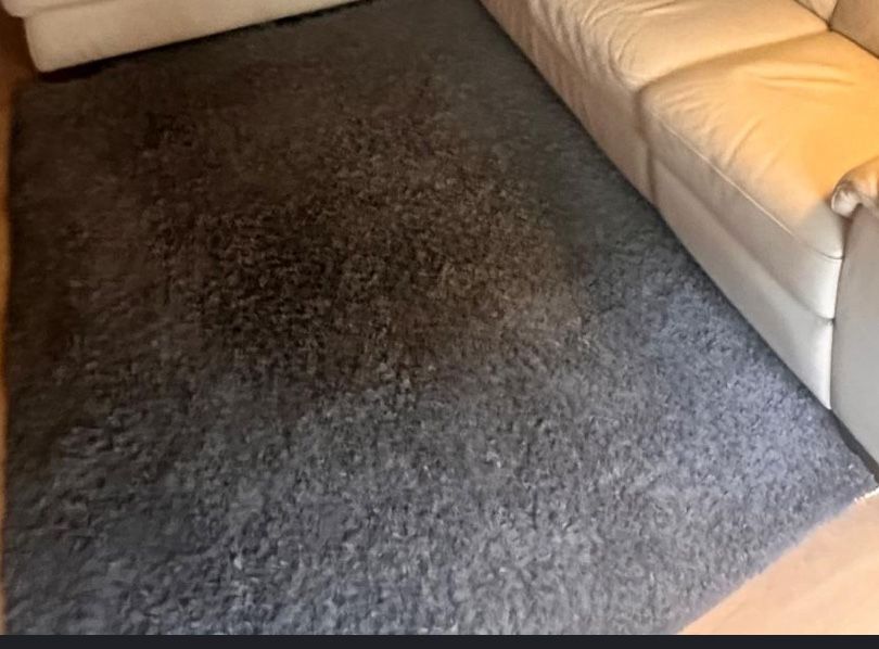 Tapete de pelo curto