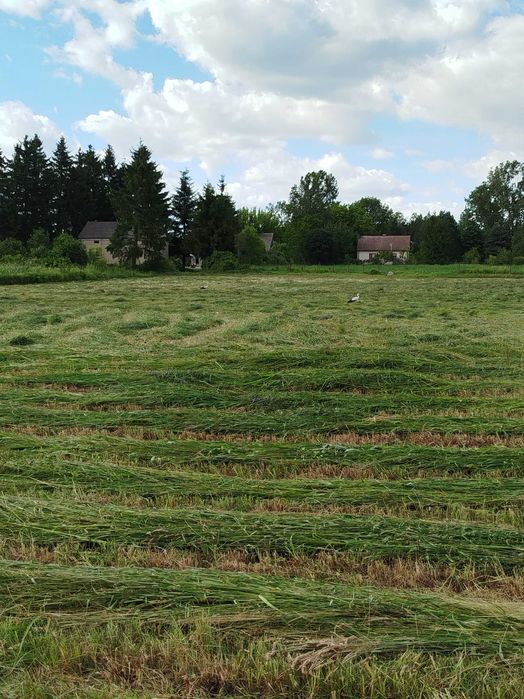 działki nad rzeką atrakcyjna cena