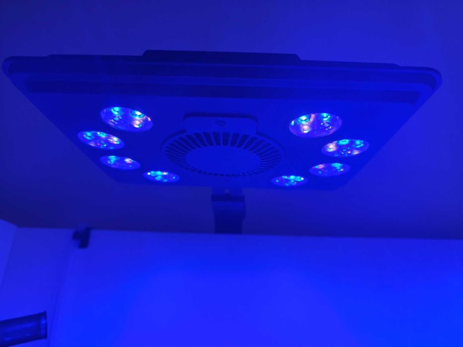 Lampy do akwarium morskiego Maxpect mjl-290