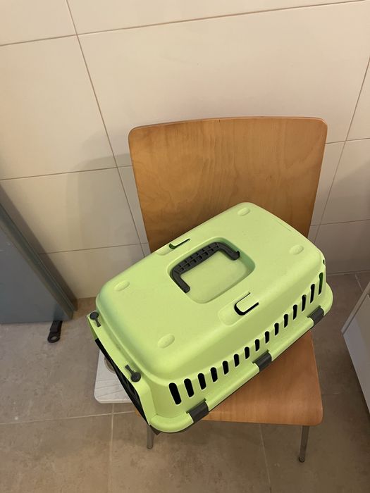 Caixa transportadora de animais