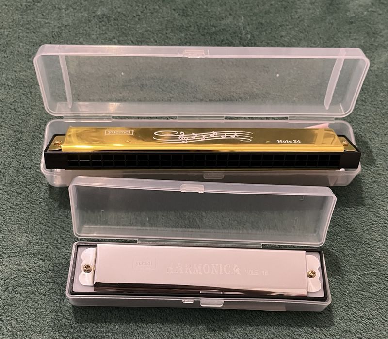 Instrumento musical harmonica gaita de beiços