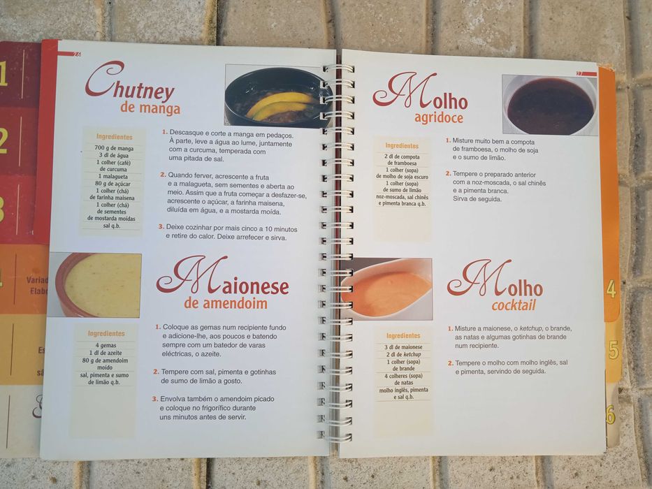 Livro - Fondues & Grelhados na Pedra