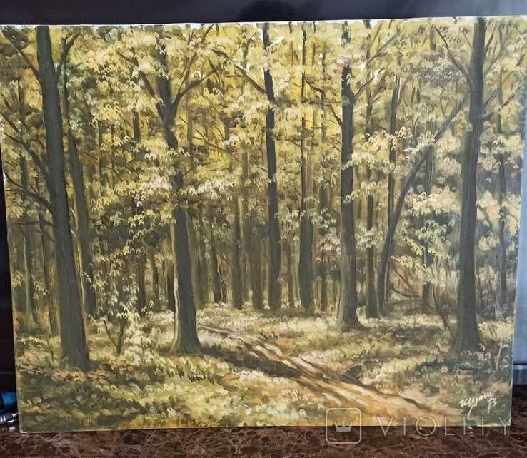 Картина 50x40 підпис автора