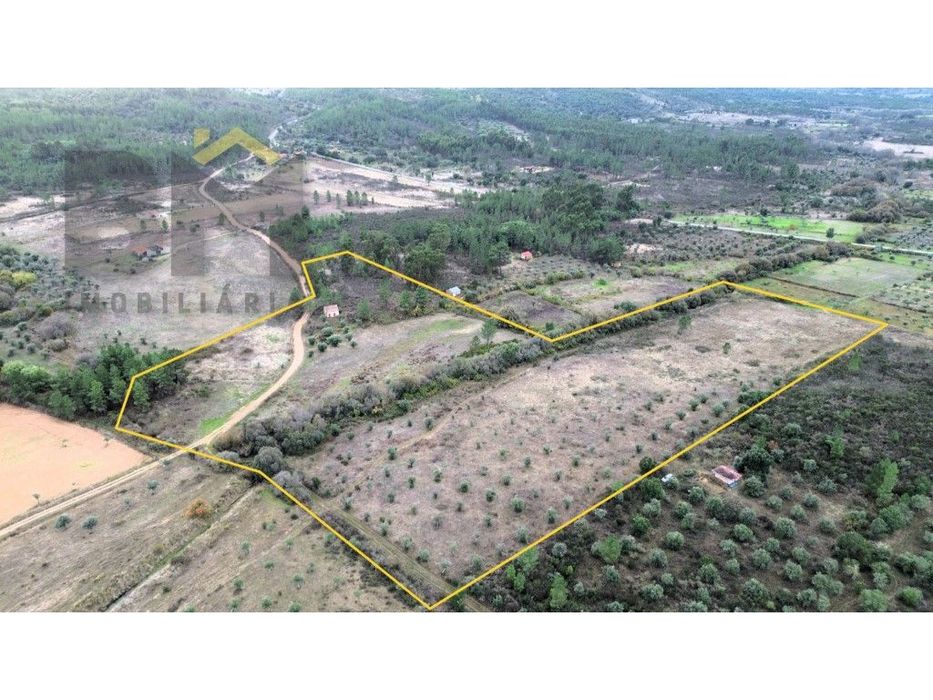 Quinta com 45.360m2 para venda em Freixial do Campo!