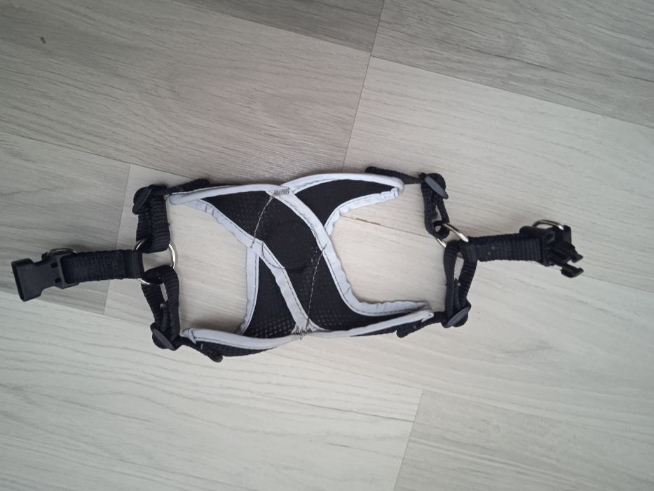 Ошийник Pets для маленької собачки