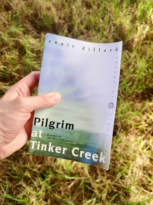 Livro Pilgrim at Tinker Creek / Annie Dillard