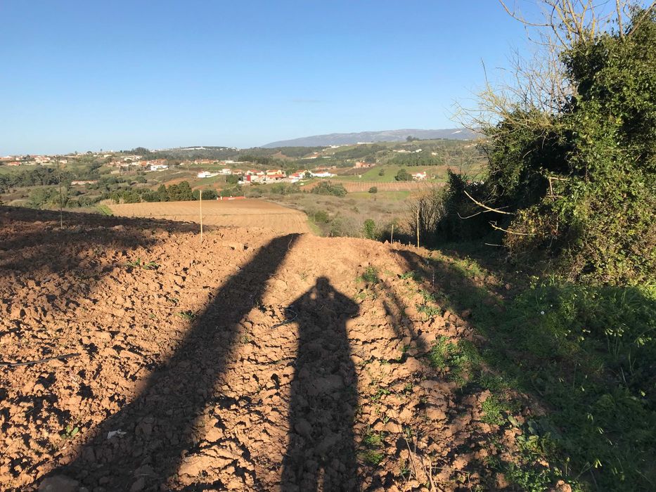 Terreno em Vimeiro Alcobaça, Nazaré