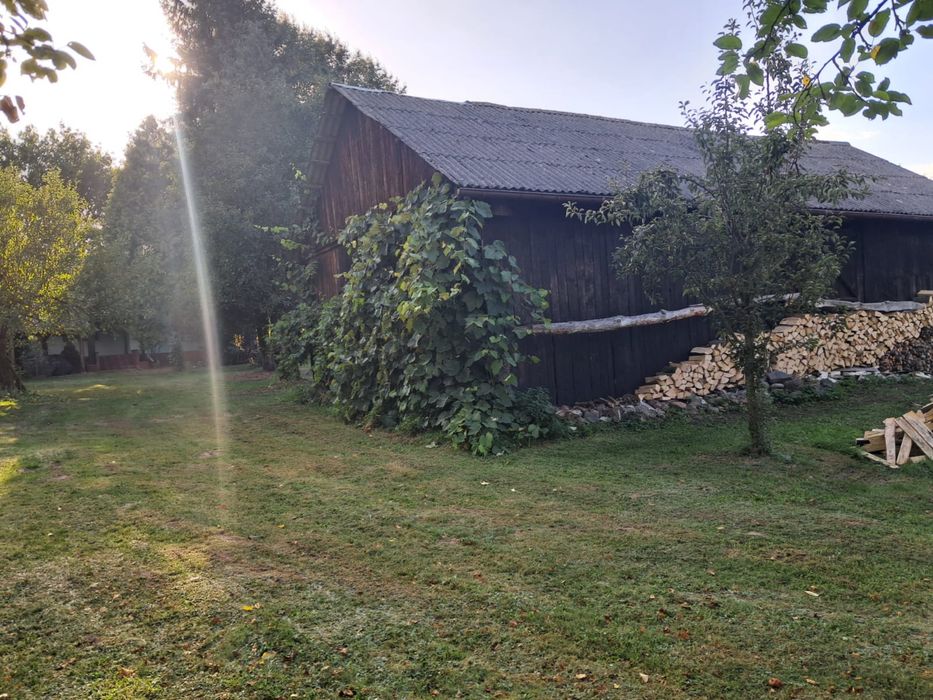 Dom – Dorohucza - Więcej