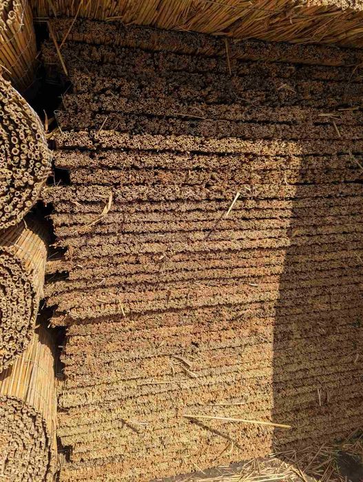 Трубочки для бджіл Осмія