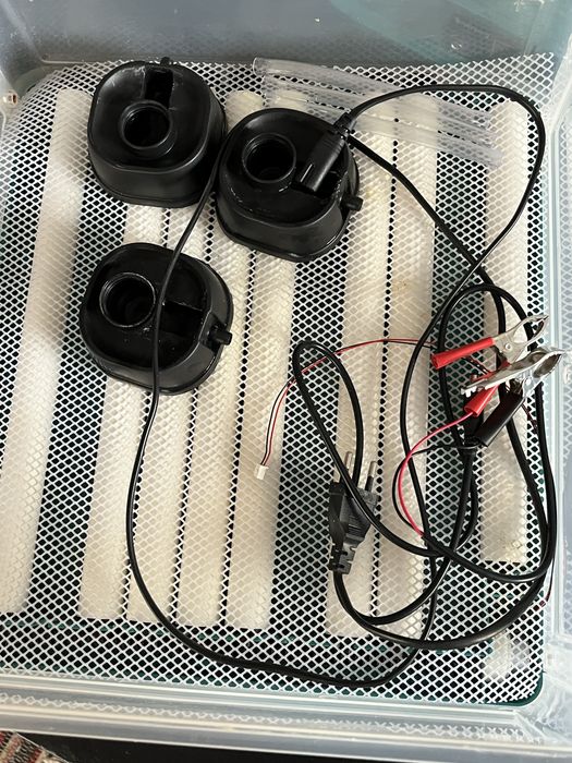 Інкубатор. Птаха