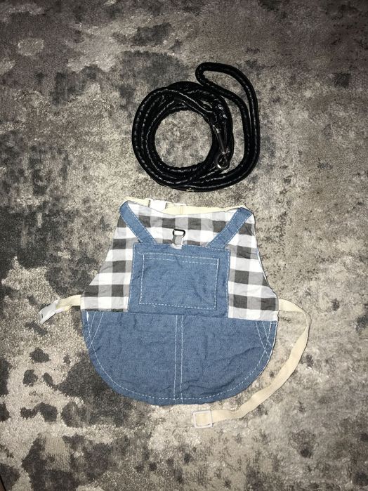 Одяг - повідок для кролика