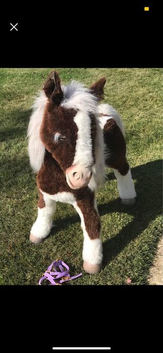 Interaktywny koń, kucyk, pony