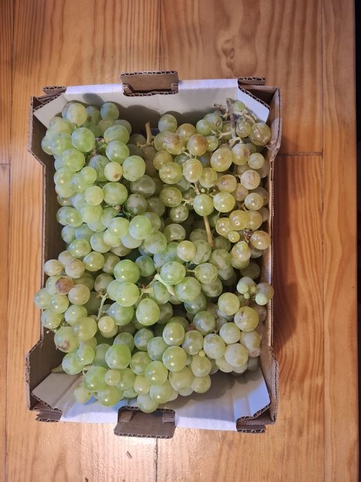 Uvas Moscatel caixas 2  kg