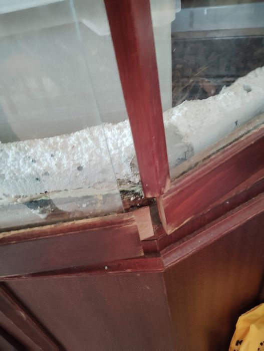 Oddam Terrarium za darmo