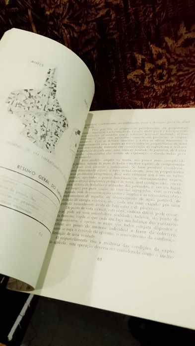 O Emparcelamento da Propriedade rústica 1960