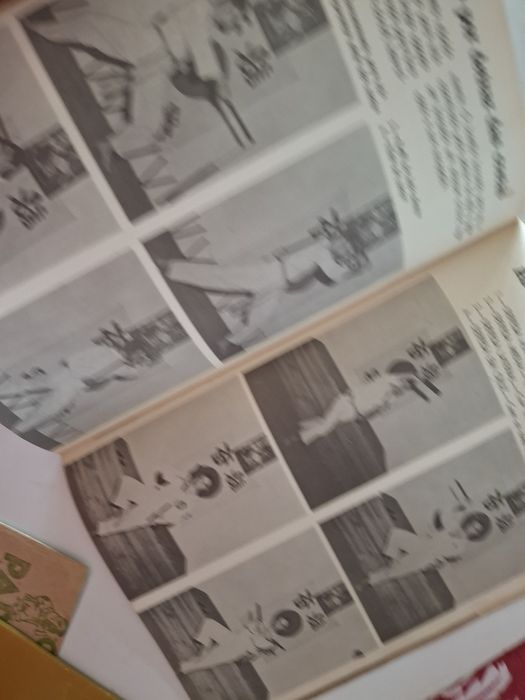 Ruy Mendonca O implacavel muncha ku capa bruce lee