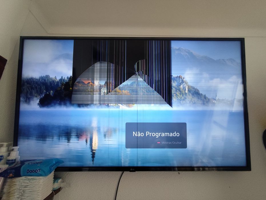 Vendo TV LG 4K ultra 55"
