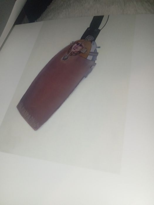 Livro pintura da pintora Armanda