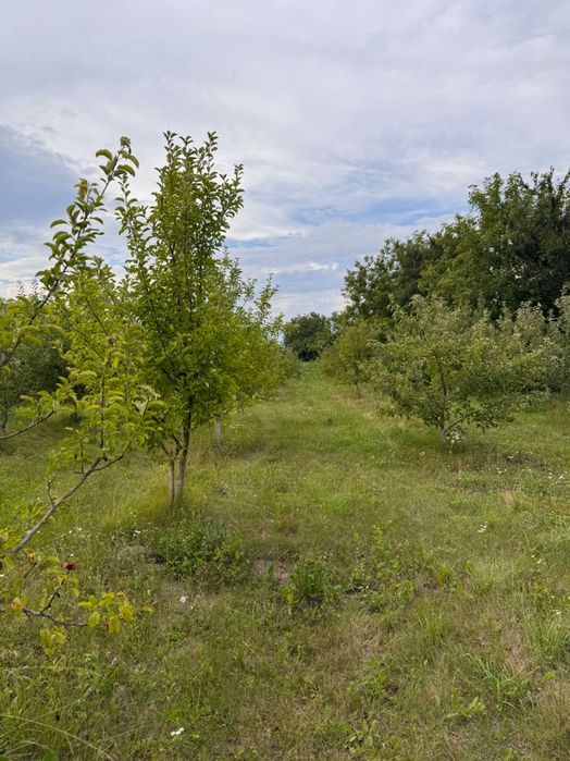 Продам ДАЧУ Рівненський район