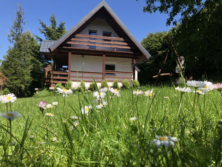 Domek na Mazurach- Ryn,   blisko  od  jeziora. Wolne terminy od: 22.08.2026 r.